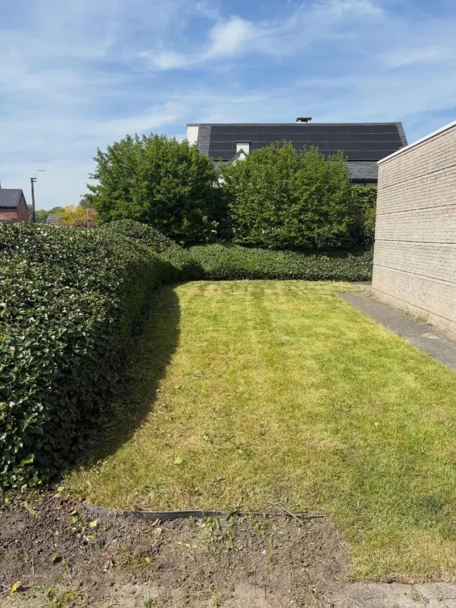 Tuinrenovatie