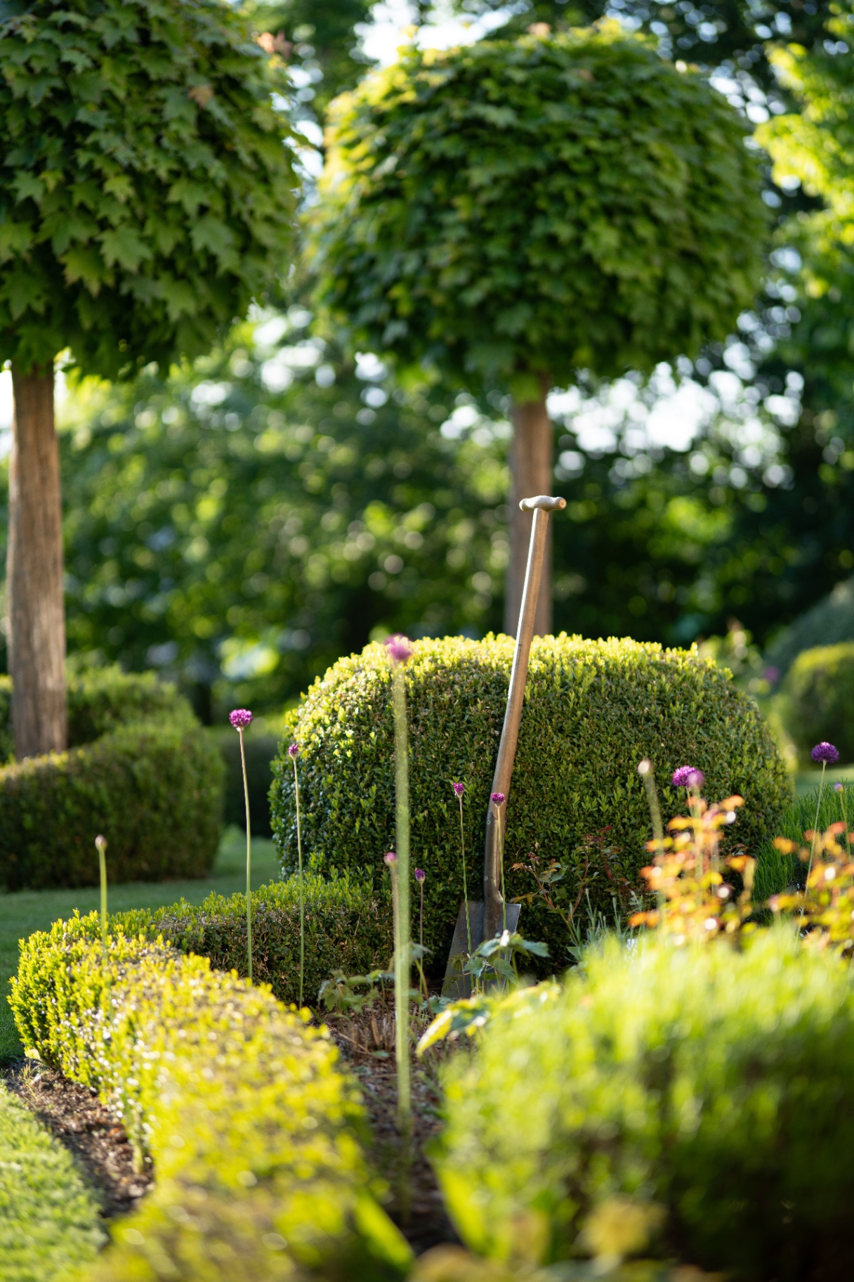 Tuinonderhoud